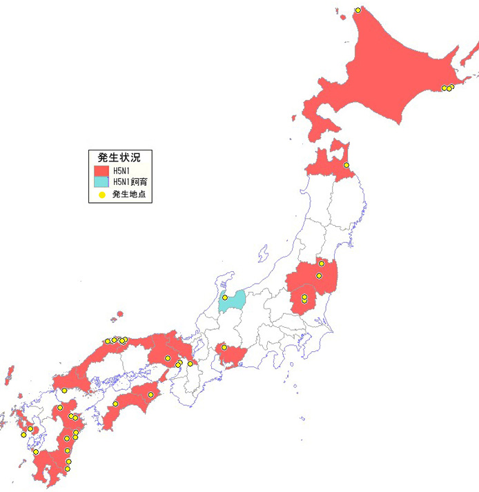 日本野鳥の会 高病原性鳥インフルエンザの発生状況 11年5月6日現在