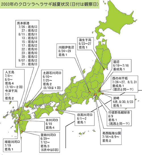 2003年のクロツラヘラサギ越夏状況（日付は観察日）