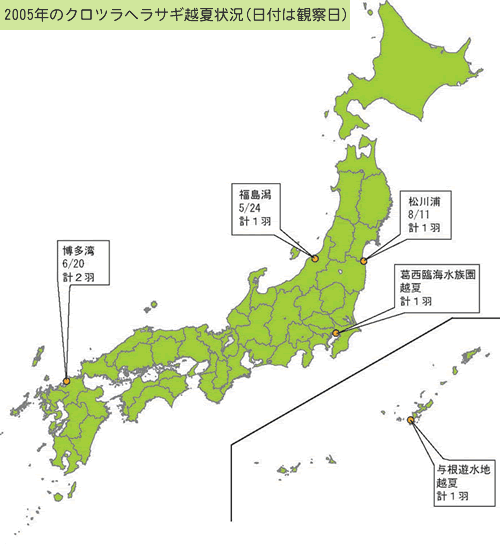 2005年のクロツラヘラサギ越夏状況（日付は観察日）