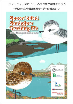 Spoon-billed sandpiper teaching kit