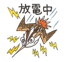 オオジシギ　ズビャークくん「放電中」