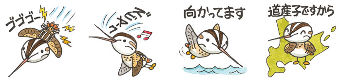 オオジシギのLINEスタンプ