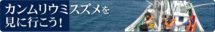 カンムリウミスズメを見に行こう！