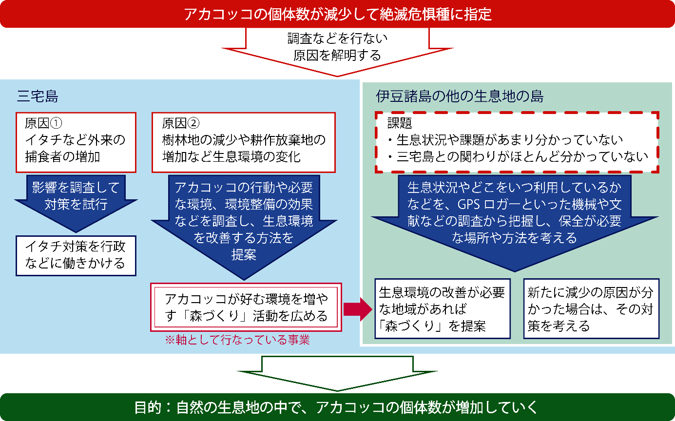 図