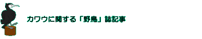 JEɊւu쒹vL