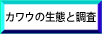 JE̐Ԃƒ