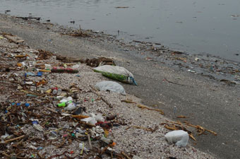プラスチックごみで埋め尽くされた海岸（マニラ）