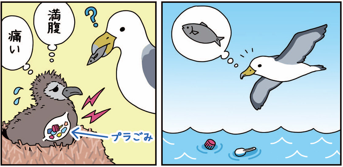 イラスト「親鳥からプラスチックごみを与えられるヒナ」