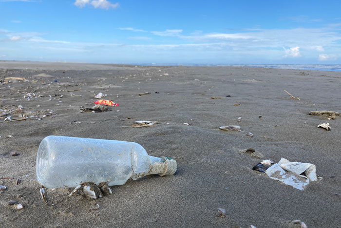 プラスチックごみが散らばる砂浜の写真