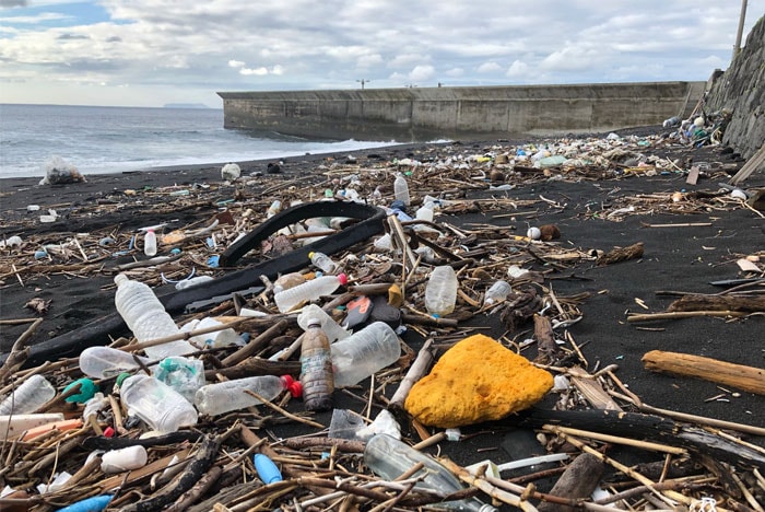 海岸にたまるプラスチックごみ