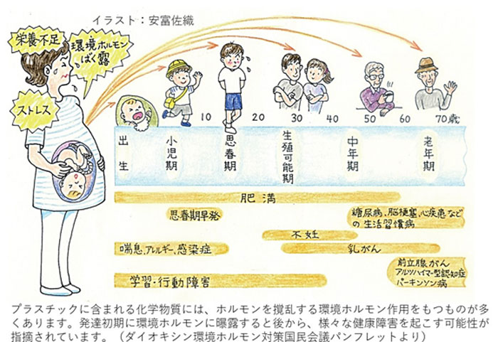 プラスチックに含まれる科学物質には、ホルモンを撹乱する環境ホルモン作用をもつものが多くあります。発達初期に環境ホルモンに曝露すると後から、様々な健康障害を起こす可能性が指摘されています。（ダイオキシン環境ホルモン対策国民会議パンフレットより）