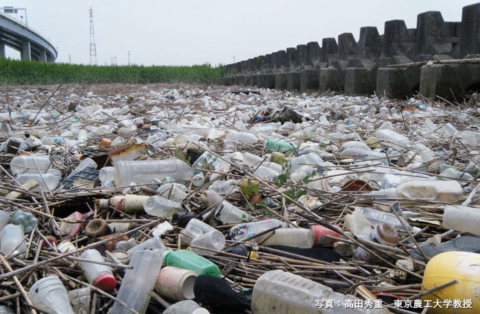 大量のプラスチックごみが散乱する河口のようす