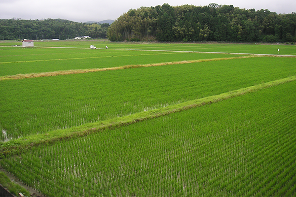「農業農村整備に関する技術開発計画（案）」に対するパブリックコメントに意見を提出しました