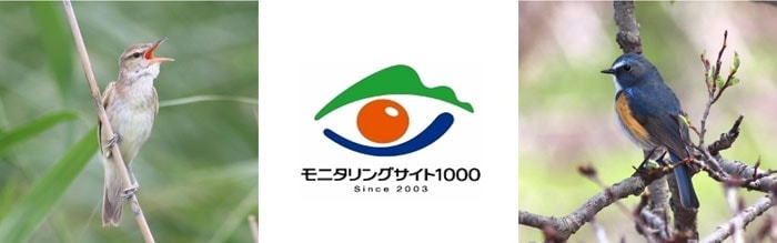 モニタリングサイト1000　陸生鳥類調査イメージ