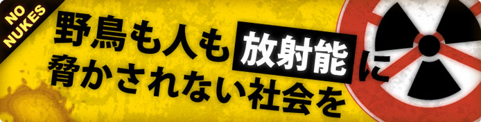 野鳥も人も、放射能に脅かされない社会を