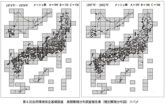 消えゆくツバメをまもろう