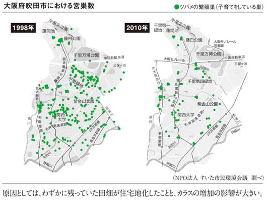 消えゆくツバメをまもろう