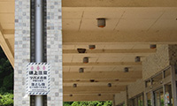 桜川市役所