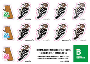 コゲラの「亜種だらけ」シール