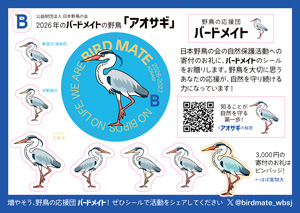 「アオサギ」のシール