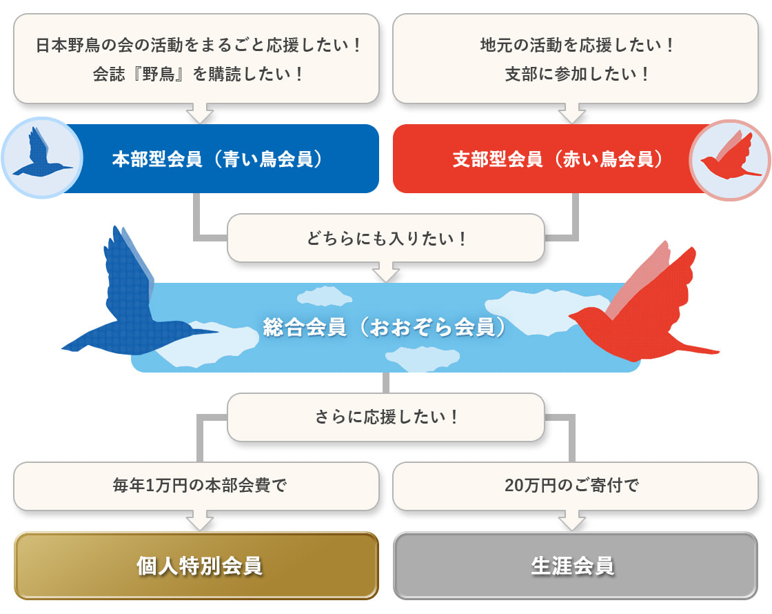 図：会員種別