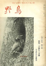 『野鳥』1949年3月号（No.130）表紙