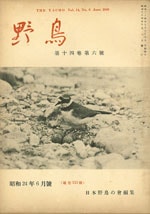 『野鳥』1949年6月号（No.133）表紙