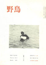 『野鳥』1950年3月号（No.139）表紙