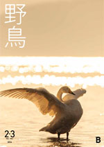 『野鳥』誌バックナンバー