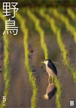 『野鳥』誌バックナンバー