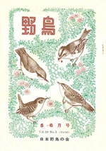 『野鳥』1954年5・6月号（No.165）表紙