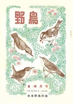 『野鳥』1954年5・6月号（No.165）表紙
