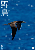 2019年8月号 野鳥誌