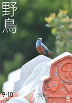 2019年9・10月号 野鳥誌