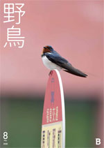 2020年8月号 野鳥誌