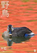 2021年9・10月号 野鳥誌