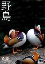 2021年11・12月号 野鳥誌