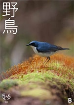 2023年5・6月号 野鳥誌