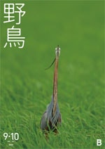 2023年9・10月号野鳥誌