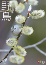 2024年5・6月号野鳥誌