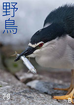 2025年7・8月号野鳥誌