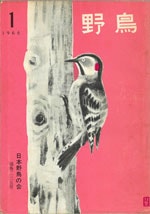 『野鳥』1966年1・2月号（No.235）表紙