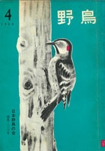 『野鳥』1966年7月号（No.238）表紙