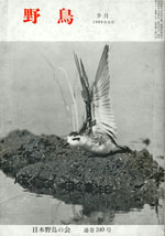 『野鳥』1966年9月号（No.240）表紙