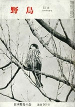 『野鳥』1966年11月号（No.242）表紙