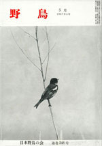 『野鳥』1967年5月号（No.248）表紙
