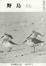 『野鳥』1967年10月号（No.253）表紙