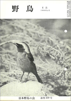 『野鳥』1968年4月号（No.259）