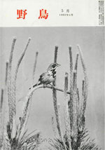 『野鳥』1968年5月号（No.260）