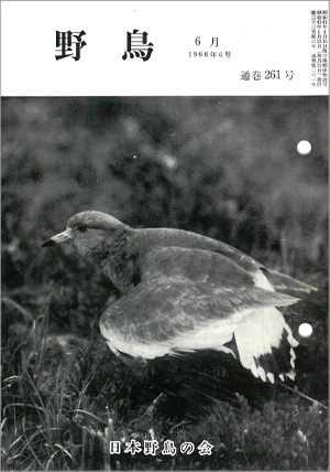 『野鳥』1968年6月号（No.261）